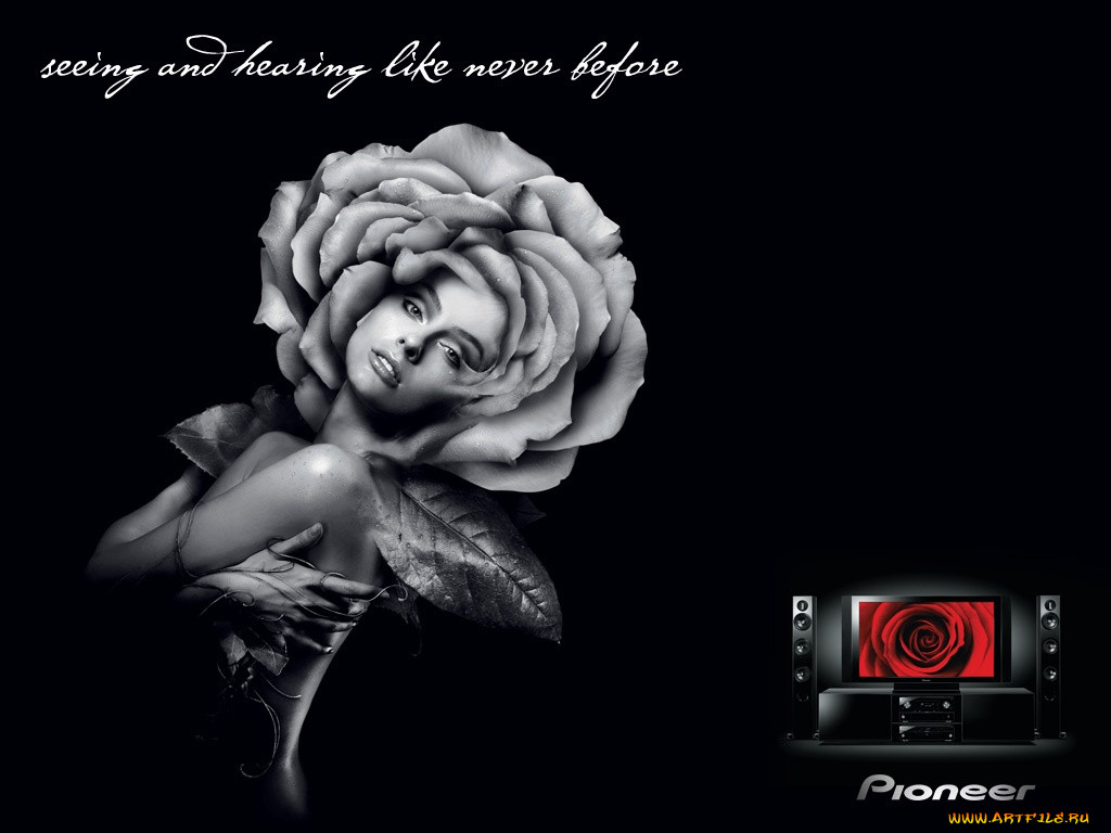 , pioneer